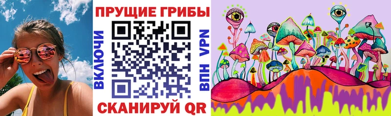 наркотики  Артёмовский  Псилоцибиновые грибы Psilocybine cubensis 